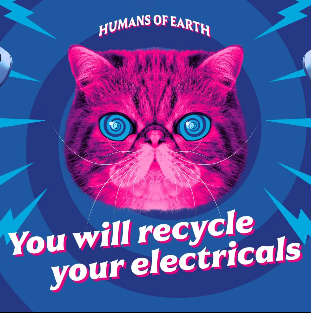 HypnoCat campaign artwork